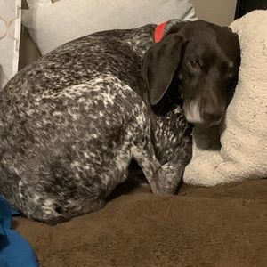 Meet your Posher, Lynn